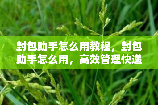 封包助手怎么用教程，封包助手怎么用，高效管理快递包裹的利器