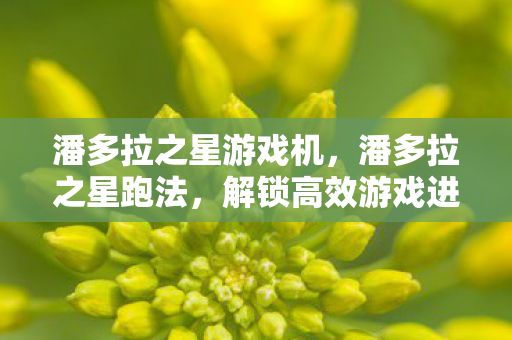 潘多拉之星游戏机,潘多拉之星跑法,解锁高效游戏进程的关键 潘多拉之星游戏机,潘多拉之星跑法,解锁高效游戏进程的关键
