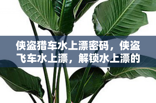 侠盗猎车水上漂密码,侠盗飞车水上漂,解锁水上漂的奇妙之旅 侠盗猎车水上漂密码,侠盗飞车水上漂,解锁水上漂的奇妙之旅