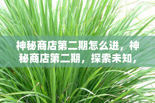 神秘商店第二期怎么进,神秘商店第二期,探索未知,解锁惊喜 神秘商店第二期怎么进,神秘商店第二期,探索未知,解锁惊喜