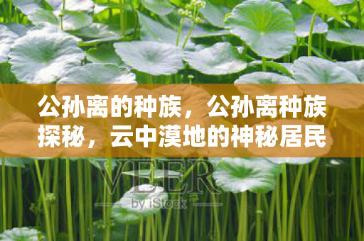 公孙离的种族,公孙离种族探秘,云中漠地的神秘居民 公孙离的种族,公孙离种族探秘,云中漠地的神秘居民