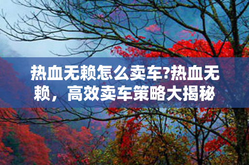 热血无赖怎么卖车?热血无赖，高效卖车策略大揭秘