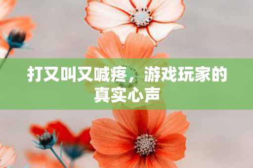 打又叫又喊疼,游戏玩家的真实心声 打又叫又喊疼,游戏玩家的真实心声
