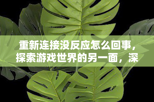 重新连接没反应怎么回事,探索游戏世界的另一面,深度解析游戏服务器的多样性与运营生态 重新连接没反应怎么回事,探索游戏世界的另一面,深度解析游戏服务器的多样性与运营生态