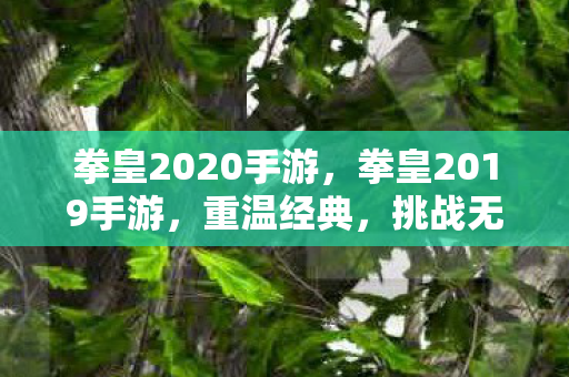 拳皇2020手游,拳皇2019手游,重温经典,挑战无限可能 拳皇2020手游,拳皇2019手游,重温经典,挑战无限可能