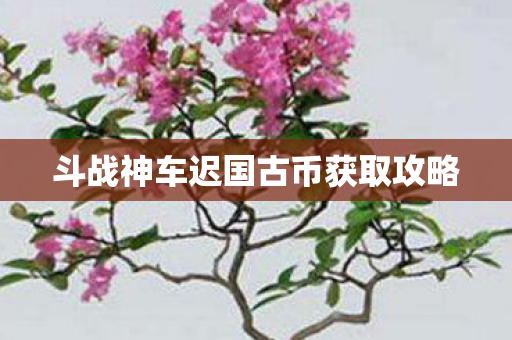 斗战神车迟国古币获取攻略 斗战神车迟国古币获取攻略