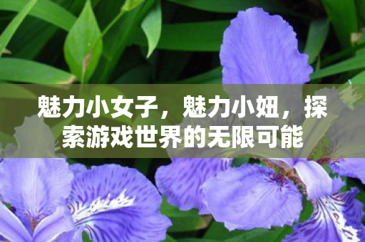 魅力小女子，魅力小妞，探索游戏世界的无限可能