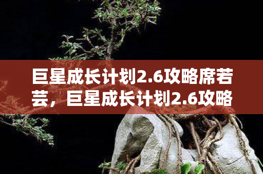 巨星成长计划2.6攻略席若芸,巨星成长计划2.6攻略,打造你的娱乐帝国 巨星成长计划2.6攻略席若芸,巨星成长计划2.6攻略,打造你的娱乐帝国