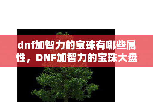 dnf加智力的宝珠有哪些属性，DNF加智力的宝珠大盘点
