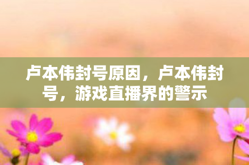 卢本伟封号原因,卢本伟封号,游戏直播界的警示 卢本伟封号原因,卢本伟封号,游戏直播界的警示