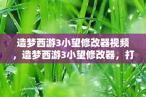 造梦西游3小望修改器视频,造梦西游3小望修改器,打造你的专属游戏世界 造梦西游3小望修改器视频,造梦西游3小望修改器,打造你的专属游戏世界