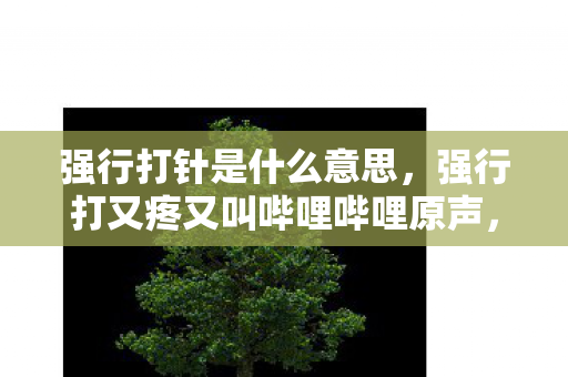 强行打针是什么意思,强行打又疼又叫哔哩哔哩原声,探索音乐与文化的独特魅力 强行打针是什么意思,强行打又疼又叫哔哩哔哩原声,探索音乐与文化的独特魅力