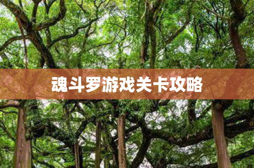 魂斗罗游戏关卡攻略 魂斗罗游戏关卡攻略