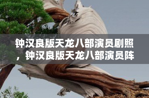 钟汉良版天龙八部演员剧照,钟汉良版天龙八部演员阵容,经典再现,演技与颜值并存 钟汉良版天龙八部演员剧照,钟汉良版天龙八部演员阵容,经典再现,演技与颜值并存