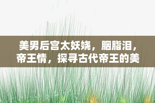 美男后宫太妖娆,胭脂泪,帝王情,探寻古代帝王的美男后宫 美男后宫太妖娆,胭脂泪,帝王情,探寻古代帝王的美男后宫