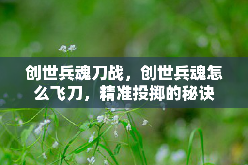创世兵魂刀战,创世兵魂怎么飞刀,精准投掷的秘诀 创世兵魂刀战,创世兵魂怎么飞刀,精准投掷的秘诀