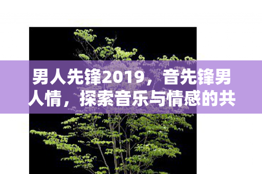 男人先锋2019,音先锋男人情,探索音乐与情感的共鸣 男人先锋2019,音先锋男人情,探索音乐与情感的共鸣