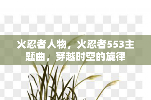 火忍者人物，火忍者553主题曲，穿越时空的旋律