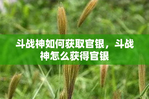 斗战神如何获取官银,斗战神怎么获得官银 斗战神如何获取官银,斗战神怎么获得官银