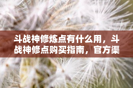 斗战神修炼点有什么用,斗战神修点购买指南,官方渠道与性价比分析 斗战神修炼点有什么用,斗战神修点购买指南,官方渠道与性价比分析