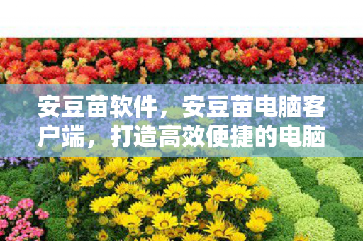 安豆苗软件,安豆苗电脑客户端,打造高效便捷的电脑管理新体验 安豆苗软件,安豆苗电脑客户端,打造高效便捷的电脑管理新体验