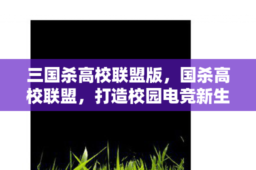 三国杀高校联盟版,国杀高校联盟,打造校园电竞新生态 三国杀高校联盟版,国杀高校联盟,打造校园电竞新生态