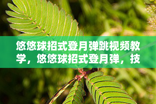 悠悠球招式登月弹跳视频教学,悠悠球招式登月弹,技巧与艺术的完美融合 悠悠球招式登月弹跳视频教学,悠悠球招式登月弹,技巧与艺术的完美融合