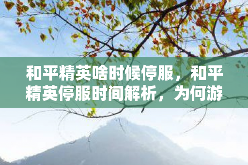 和平精英啥时候停服，和平精英停服时间解析，为何游戏需要定期维护？