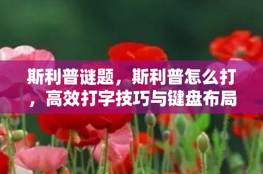 斯利普谜题，斯利普怎么打，高效打字技巧与键盘布局解析