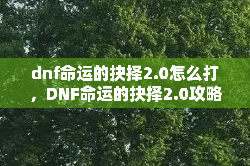 dnf命运的抉择2.0怎么打，DNF命运的抉择2.0攻略，打造最强角色的关键步骤