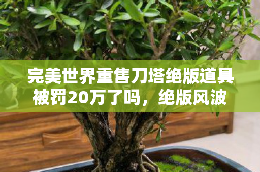完美世界重售刀塔绝版道具被罚20万了吗，绝版风波，完美世界重售刀塔道具引争议