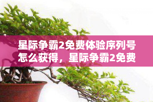 星际争霸2免费体验序列号怎么获得，星际争霸2免费体验序列号，探索星际世界的奇妙之旅