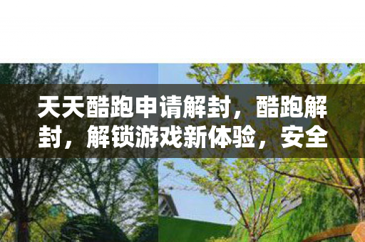 天天酷跑申请解封,酷跑解封,解锁游戏新体验,安全合规是关键 天天酷跑申请解封,酷跑解封,解锁游戏新体验,安全合规是关键