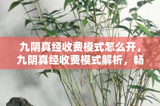 九阴真经收费模式怎么开,九阴真经收费模式解析,畅游江湖的代价 九阴真经收费模式怎么开,九阴真经收费模式解析,畅游江湖的代价