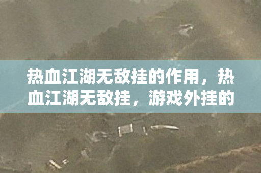 热血江湖无敌挂的作用,热血江湖无敌挂,游戏外挂的灰色阴影 热血江湖无敌挂的作用,热血江湖无敌挂,游戏外挂的灰色阴影