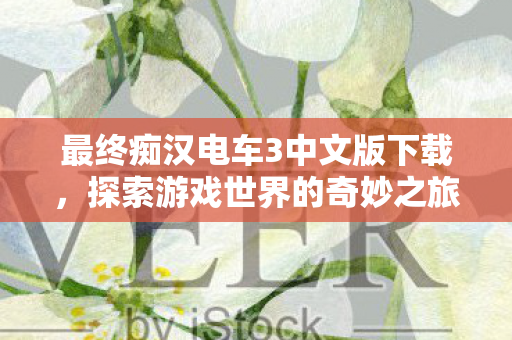 最终痴汉电车3中文版下载,探索游戏世界的奇妙之旅 最终痴汉电车3中文版下载,探索游戏世界的奇妙之旅