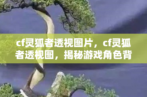 cf灵狐者透视图片,cf灵狐者透视图,揭秘游戏角色背后的设计奥秘 cf灵狐者透视图片,cf灵狐者透视图,揭秘游戏角色背后的设计奥秘