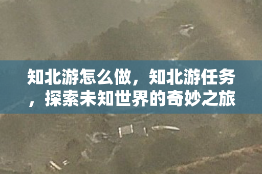 知北游怎么做,知北游任务,探索未知世界的奇妙之旅 知北游怎么做,知北游任务,探索未知世界的奇妙之旅
