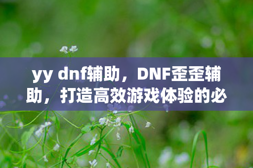 yy dnf辅助,DNF歪歪辅助,打造高效游戏体验的必备工具 yy dnf辅助,DNF歪歪辅助,打造高效游戏体验的必备工具
