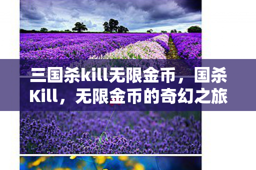 三国杀kill无限金币，国杀Kill，无限金币的奇幻之旅