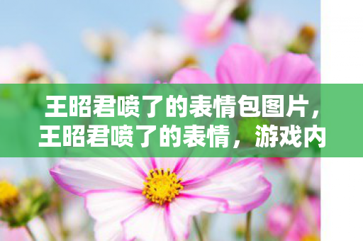 王昭君喷了的表情包图片,王昭君喷了的表情,游戏内外的喷与不喷 王昭君喷了的表情包图片,王昭君喷了的表情,游戏内外的喷与不喷