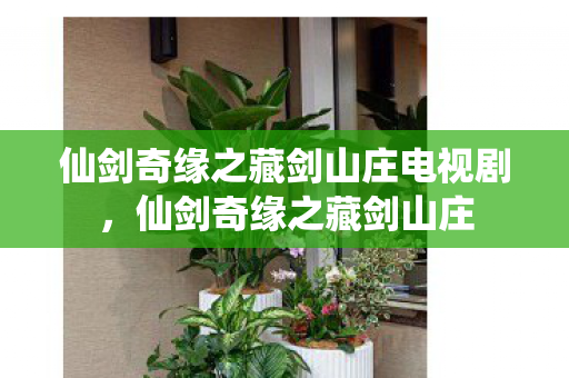 仙剑奇缘之藏剑山庄电视剧，仙剑奇缘之藏剑山庄