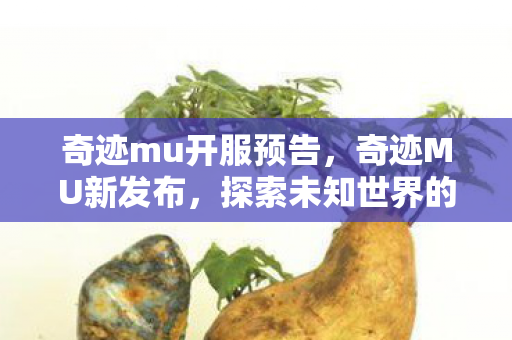 奇迹mu开服预告,奇迹MU新发布,探索未知世界的奇幻之旅 奇迹mu开服预告,奇迹MU新发布,探索未知世界的奇幻之旅