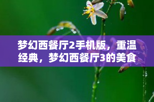梦幻西餐厅2手机版,重温经典,梦幻西餐厅3的美食之旅 梦幻西餐厅2手机版,重温经典,梦幻西餐厅3的美食之旅