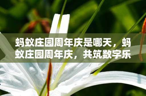 蚂蚁庄园周年庆是哪天,蚂蚁庄园周年庆,共筑数字乐园,畅享无限可能 蚂蚁庄园周年庆是哪天,蚂蚁庄园周年庆,共筑数字乐园,畅享无限可能