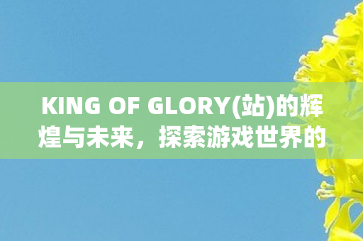 KING OF GLORY(站)的辉煌与未来,探索游戏世界的无限可能 KING OF GLORY(站)的辉煌与未来,探索游戏世界的无限可能