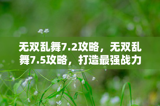 无双乱舞7.2攻略,无双乱舞7.5攻略,打造最强战力的全面指南 无双乱舞7.2攻略,无双乱舞7.5攻略,打造最强战力的全面指南
