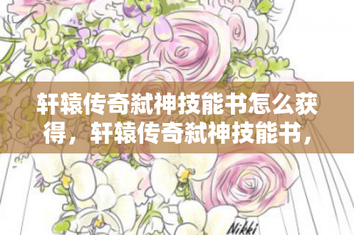 轩辕传奇弑神技能书怎么获得，轩辕传奇弑神技能书，解锁终极战斗力的神秘宝典