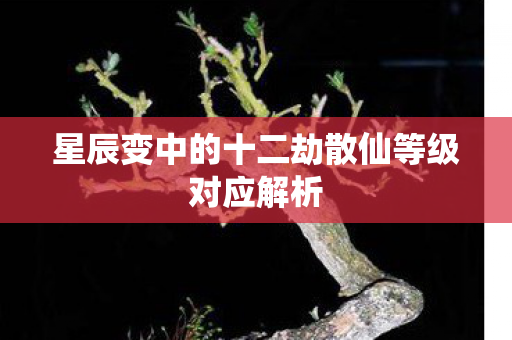 星辰变中的十二劫散仙等级对应解析 星辰变中的十二劫散仙等级对应解析