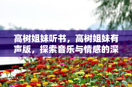 高树姐妹听书，高树姐妹有声版，探索音乐与情感的深度共鸣